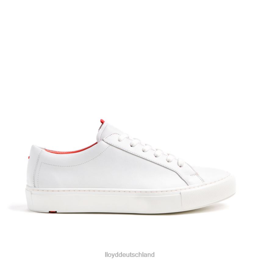 Schuhe LLOYD austin Weiß Männer PV6Z0348