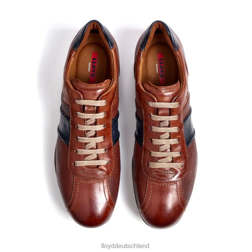 Schuhe LLOYD barett braun Männer PV6Z0354