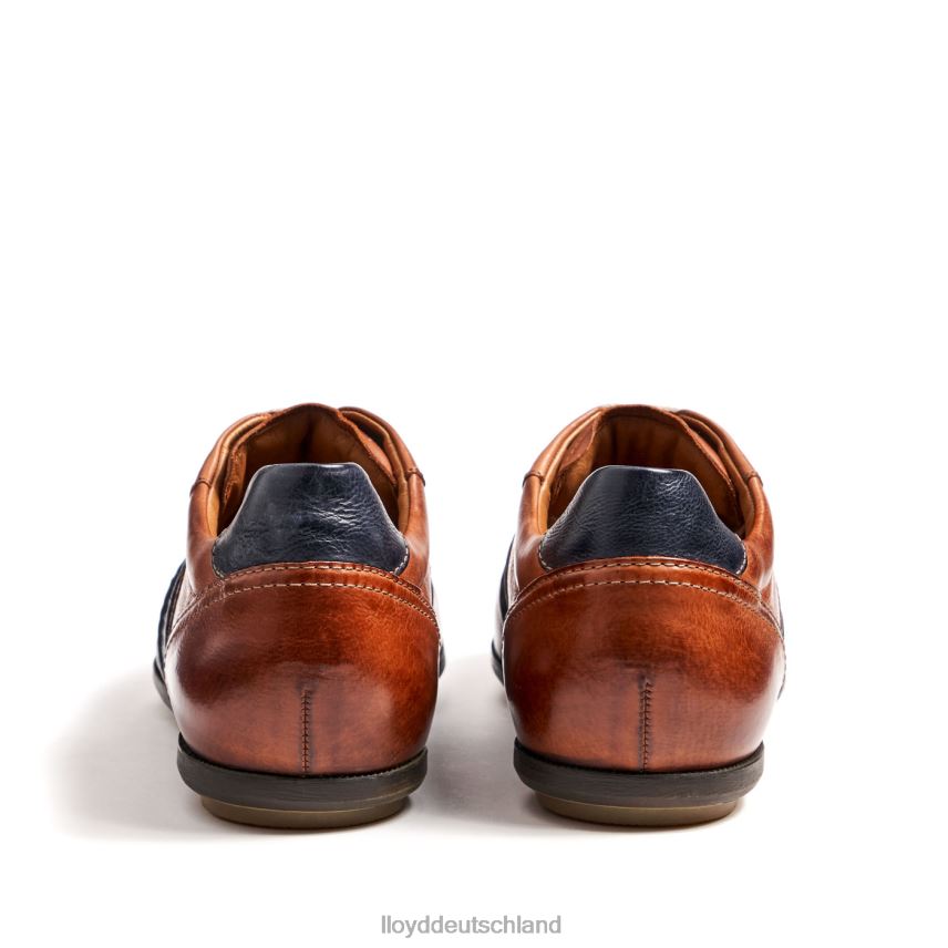 Schuhe LLOYD barett braun Männer PV6Z0354