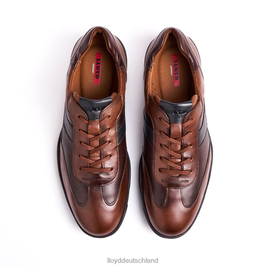Schuhe LLOYD brevis braun Männer PV6Z0418