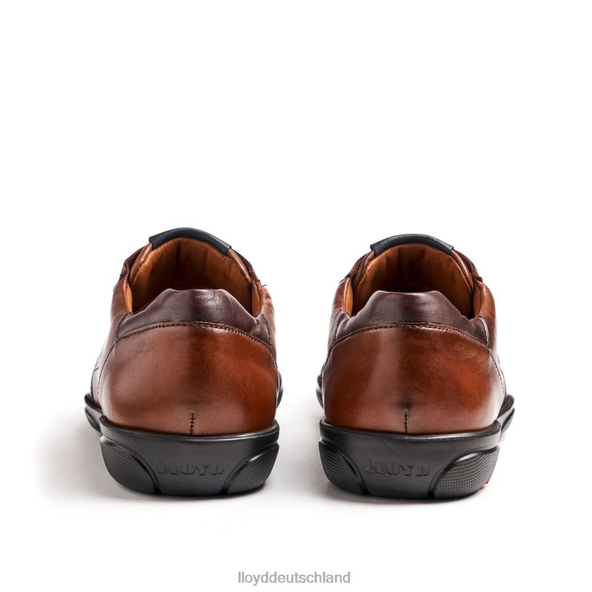Schuhe LLOYD brevis braun Männer PV6Z0418