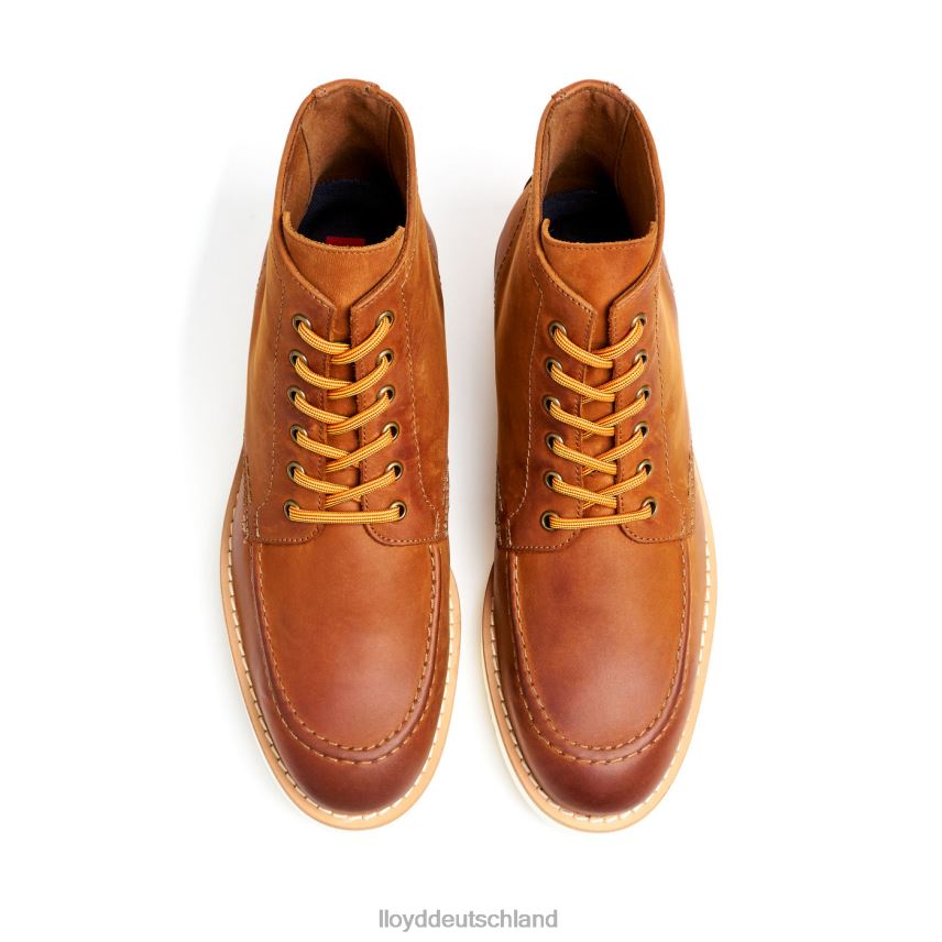 Schuhe LLOYD debar braun Männer PV6Z0501