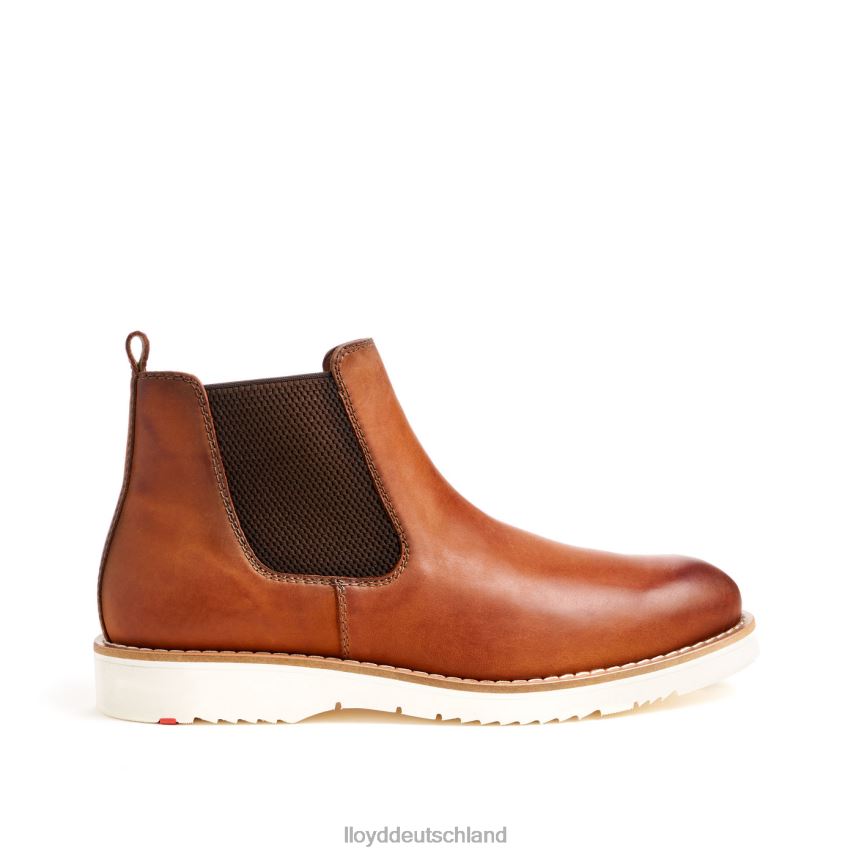 Schuhe LLOYD denton braun Männer PV6Z0477