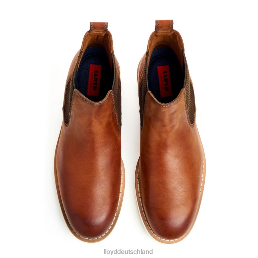 Schuhe LLOYD denton braun Männer PV6Z0477