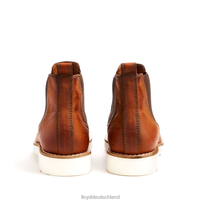 Schuhe LLOYD denton braun Männer PV6Z0477