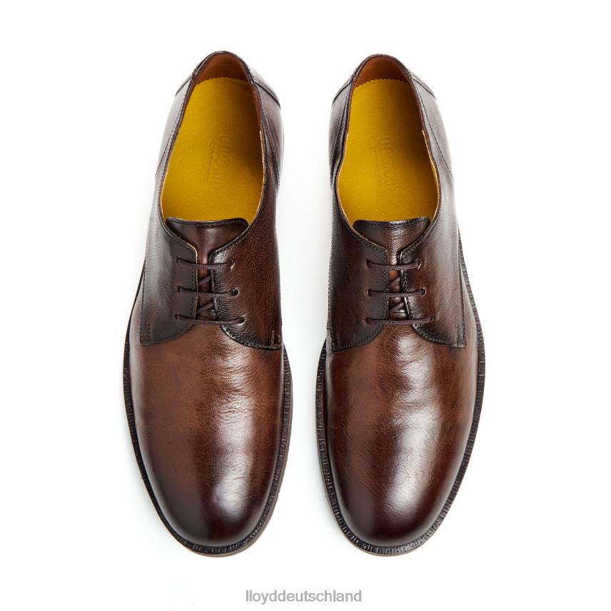 Schuhe LLOYD dorian braun Männer PV6Z037
