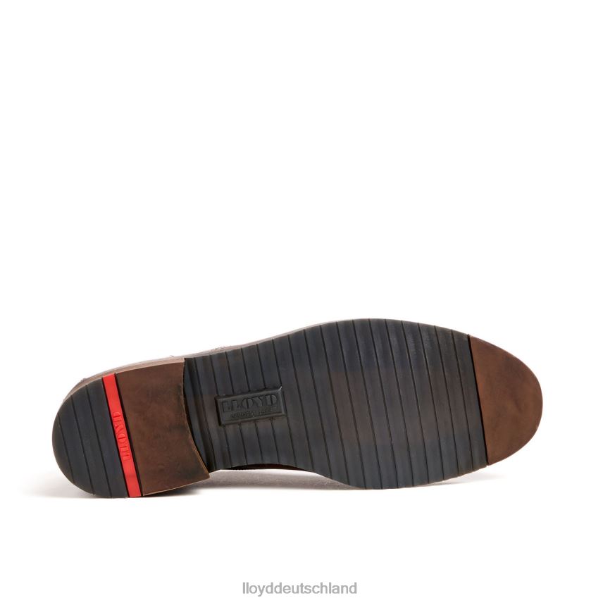 Schuhe LLOYD dorian braun Männer PV6Z037