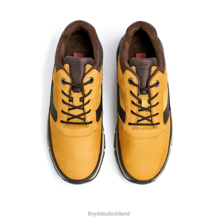 Schuhe LLOYD ebe braun Männer PV6Z0295