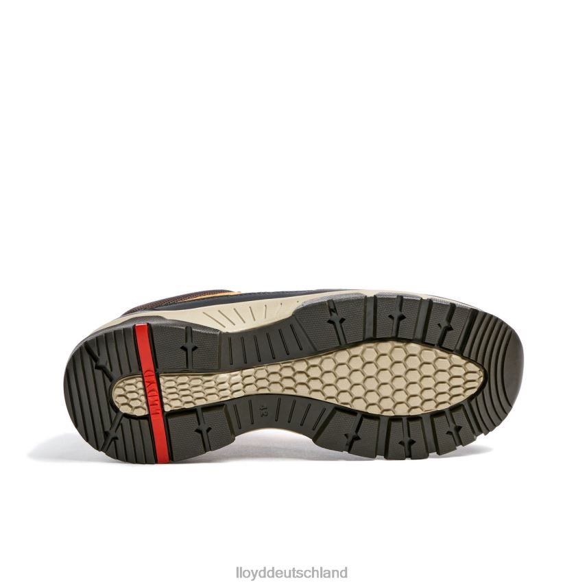 Schuhe LLOYD ebe braun Männer PV6Z0295