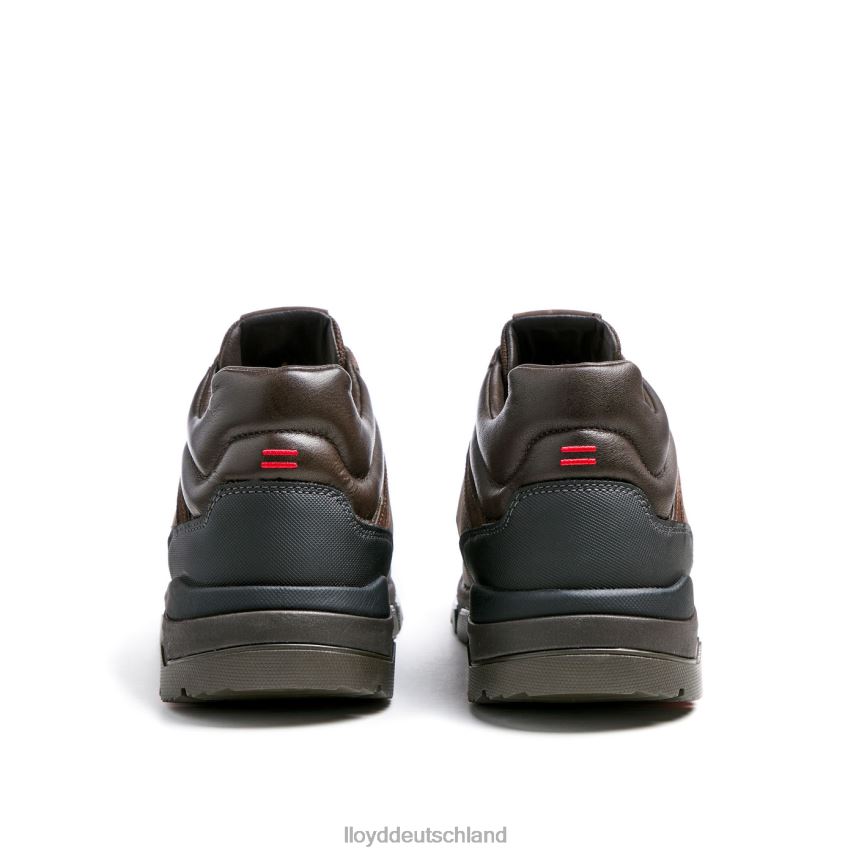 Schuhe LLOYD edd braun Männer PV6Z0467