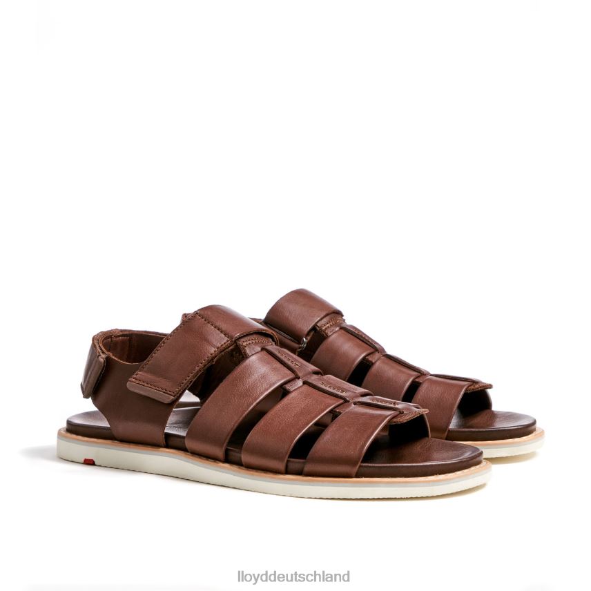 Schuhe LLOYD elimar braun Männer PV6Z0583