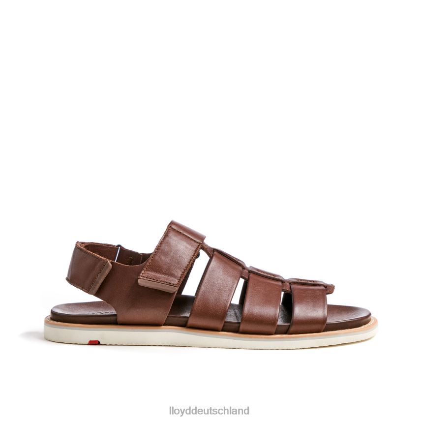 Schuhe LLOYD elimar braun Männer PV6Z0583