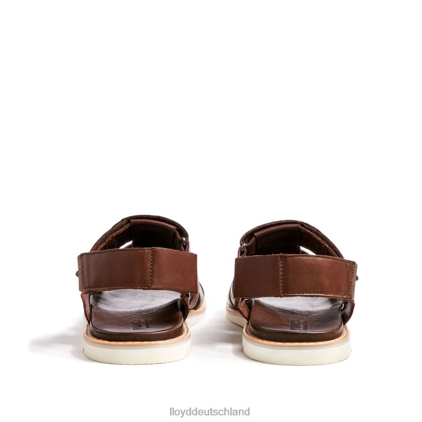 Schuhe LLOYD elimar braun Männer PV6Z0583