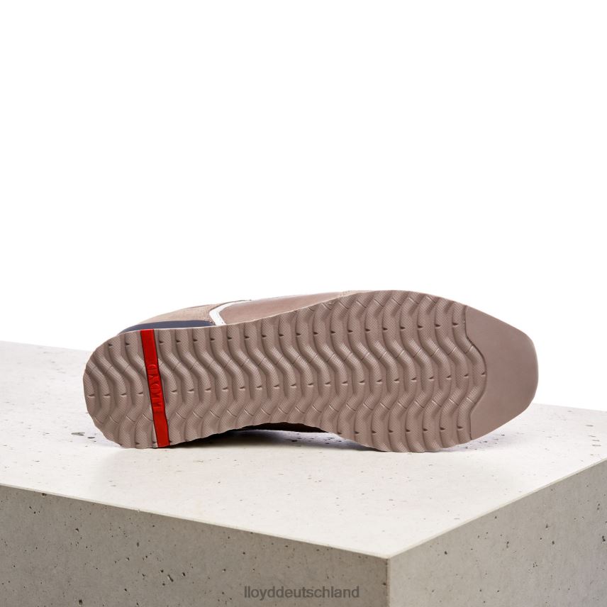 Schuhe LLOYD elja braun Männer PV6Z0402