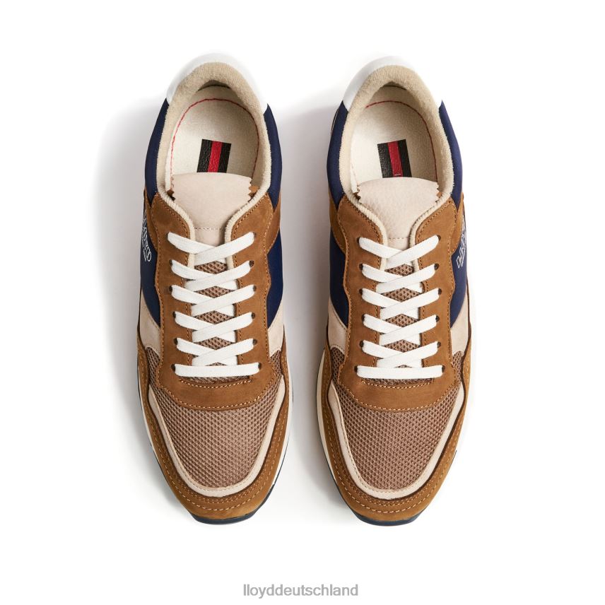 Schuhe LLOYD eloy braun Männer PV6Z0371