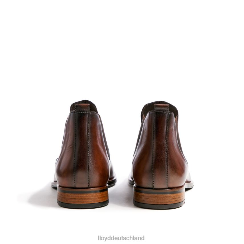 Schuhe LLOYD erkunden braun Männer PV6Z0239