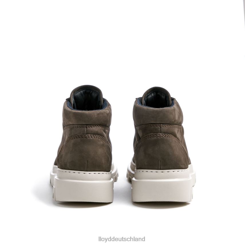 Schuhe LLOYD für Mann braun Männer PV6Z0455