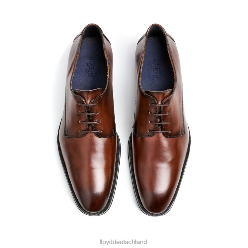 Schuhe LLOYD gideon braun Männer PV6Z03