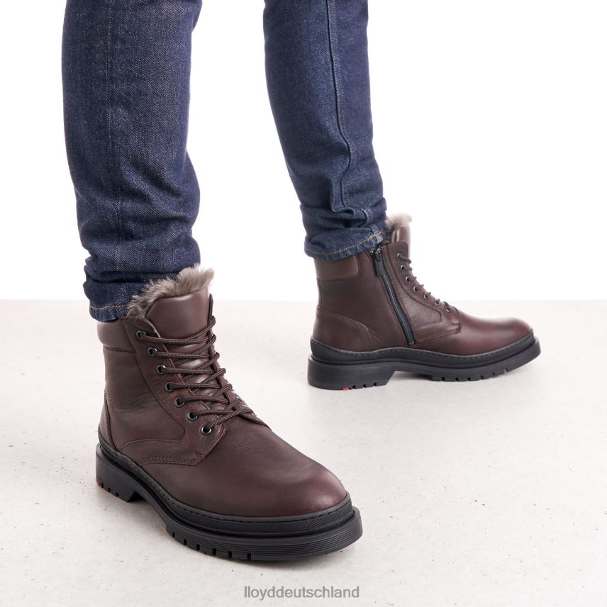 Schuhe LLOYD hollis braun Männer PV6Z0509