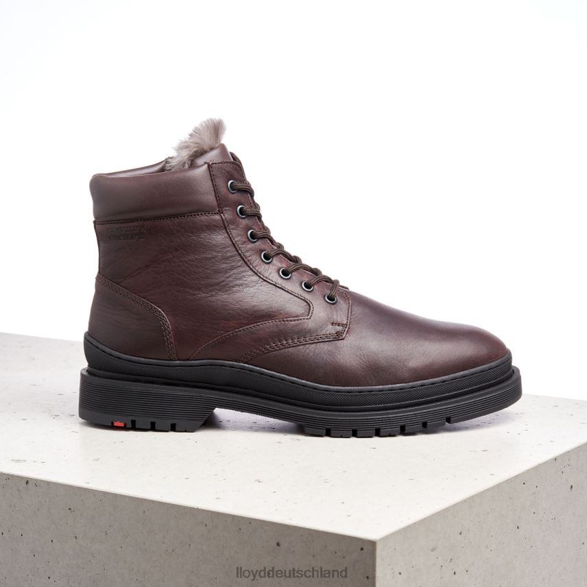 Schuhe LLOYD hollis braun Männer PV6Z0509