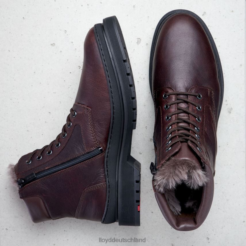 Schuhe LLOYD hollis braun Männer PV6Z0509