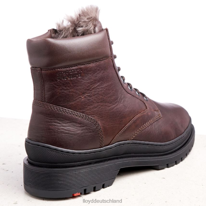 Schuhe LLOYD hollis braun Männer PV6Z0509