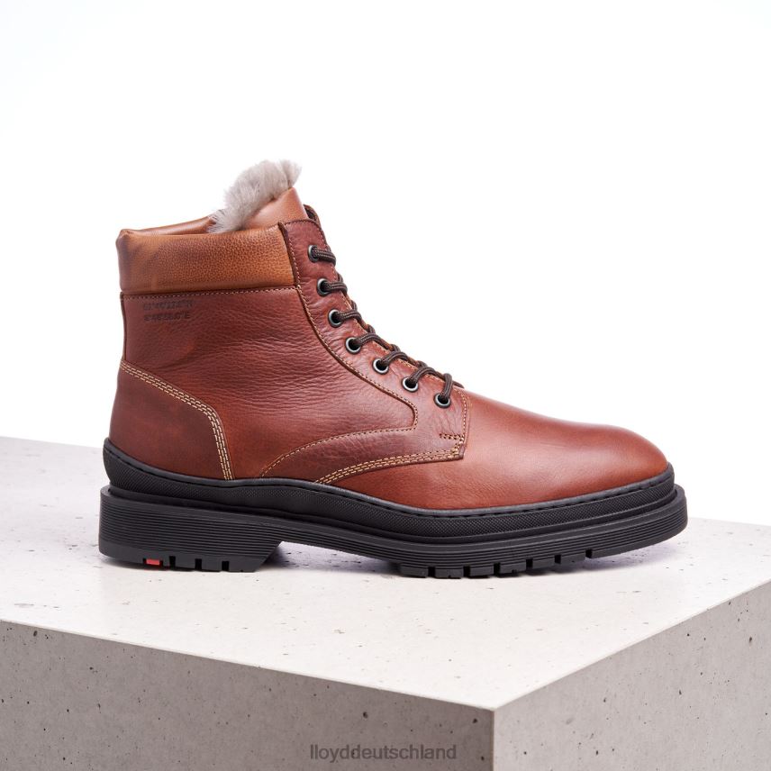 Schuhe LLOYD hollis braun Männer PV6Z0537