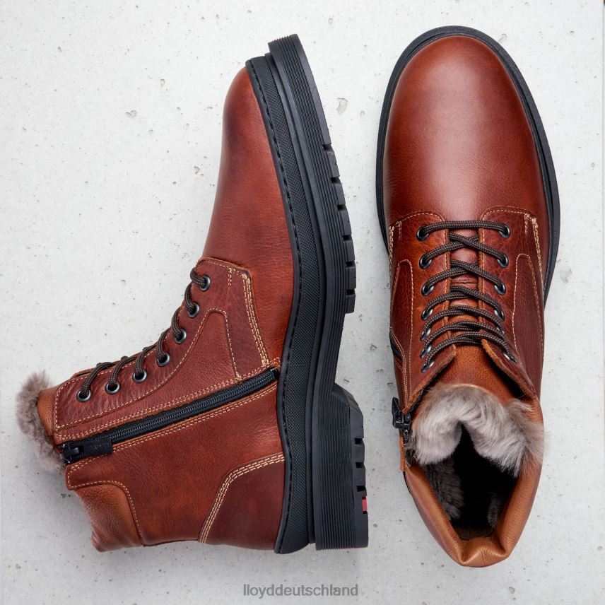 Schuhe LLOYD hollis braun Männer PV6Z0537