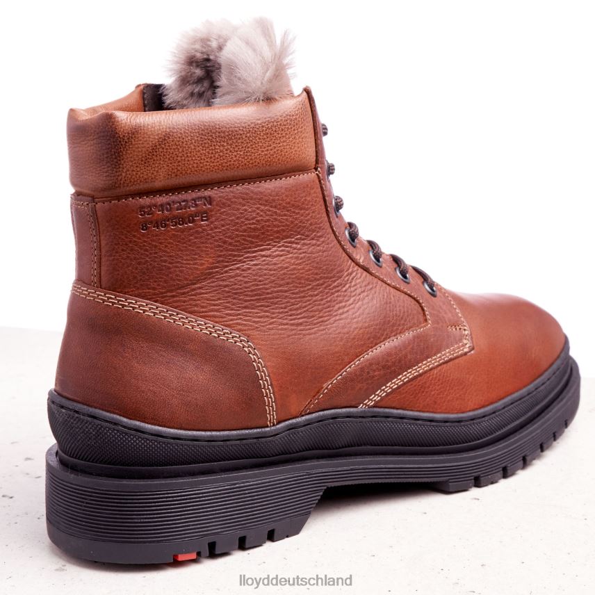 Schuhe LLOYD hollis braun Männer PV6Z0537