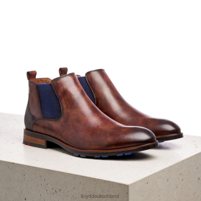 Schuhe LLOYD jaser braun Männer PV6Z0200