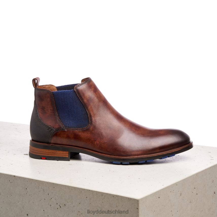 Schuhe LLOYD jaser braun Männer PV6Z0200