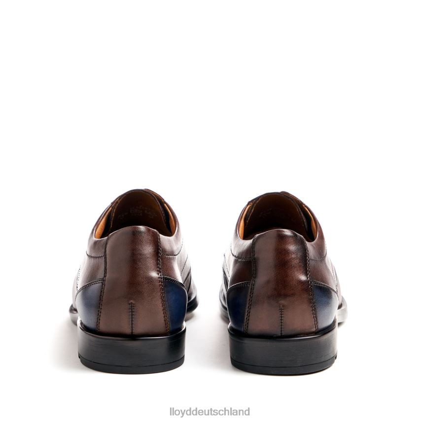Schuhe LLOYD kain (xtrawide) braun Männer PV6Z051