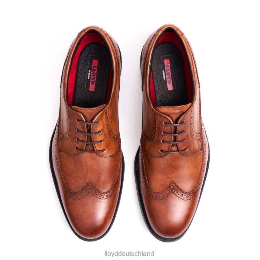 Schuhe LLOYD kaleb (xtrawide) braun Männer PV6Z020