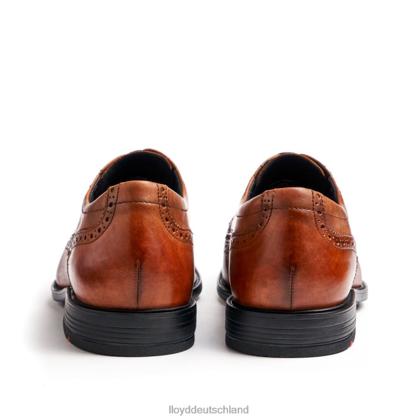 Schuhe LLOYD kaleb (xtrawide) braun Männer PV6Z020