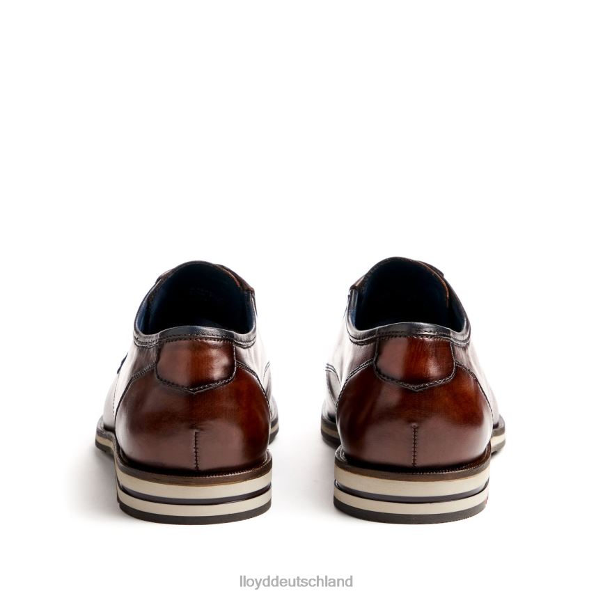 Schuhe LLOYD kamp (xtrawide) braun Männer PV6Z053