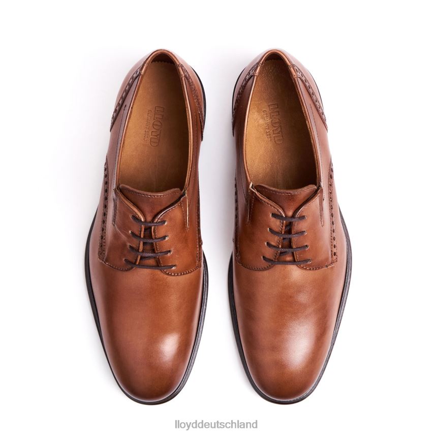 Schuhe LLOYD koog (xtrawide) braun Männer PV6Z075