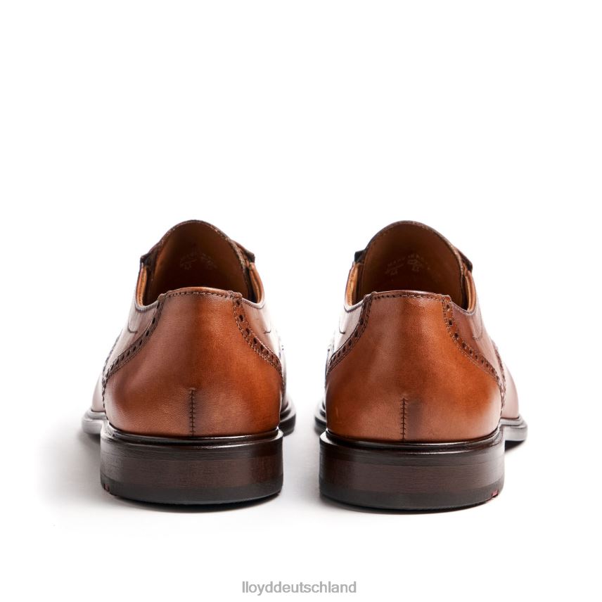 Schuhe LLOYD koog (xtrawide) braun Männer PV6Z075
