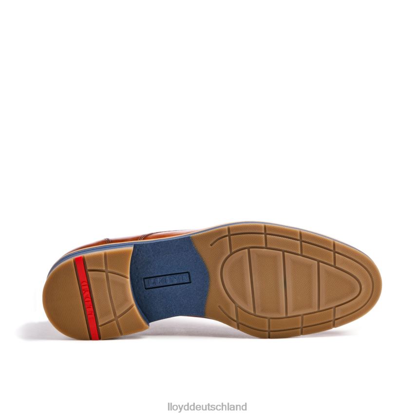 Schuhe LLOYD langston braun Männer PV6Z027