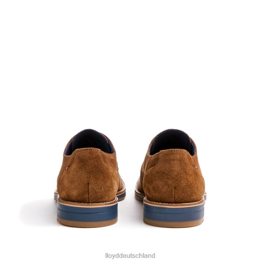 Schuhe LLOYD langston braun Männer PV6Z088