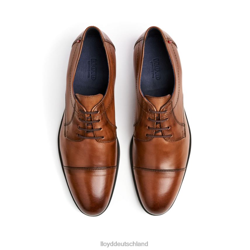 Schuhe LLOYD lias braun Männer PV6Z024