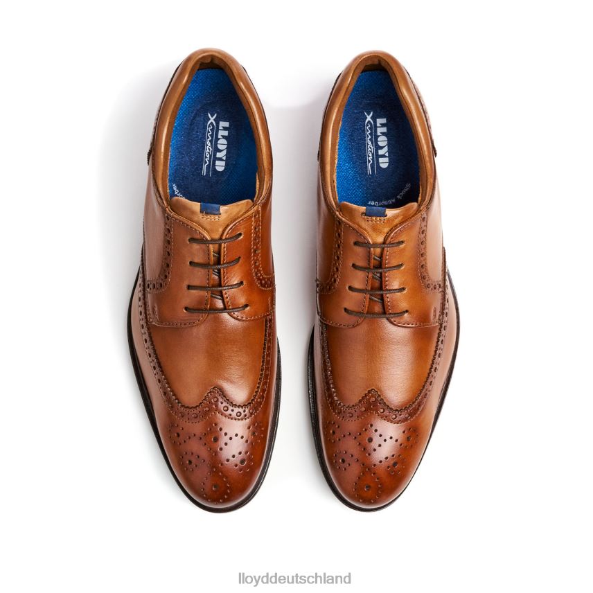 Schuhe LLOYD marian braun Männer PV6Z0141