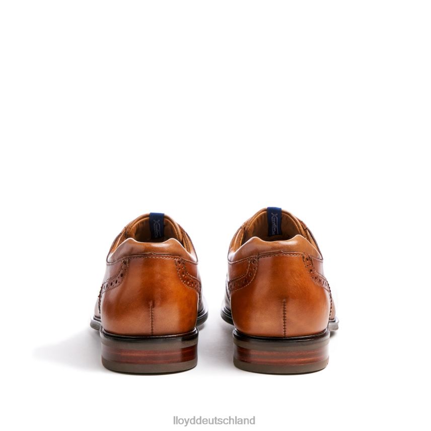 Schuhe LLOYD marian braun Männer PV6Z0141