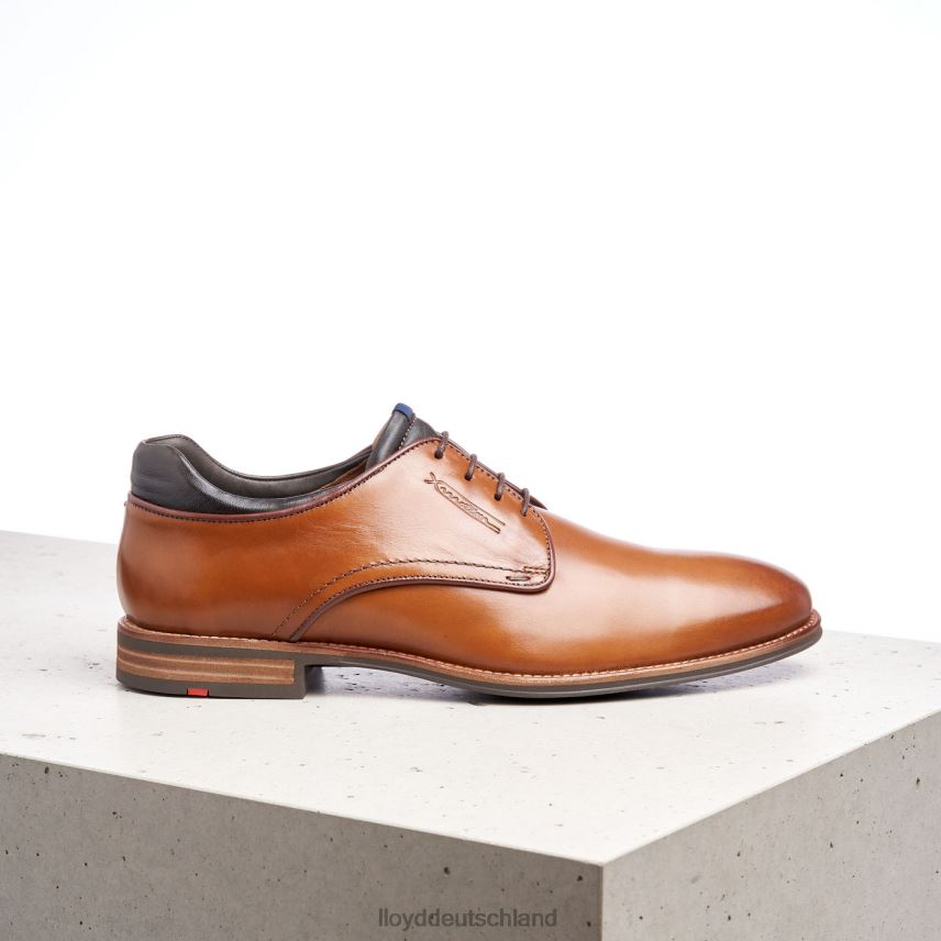 Schuhe LLOYD massimo braun Männer PV6Z0201