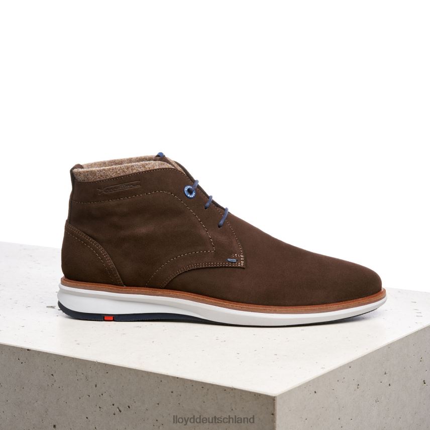 Schuhe LLOYD maxwell braun Männer PV6Z0270