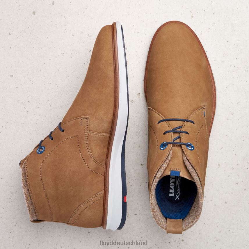 Schuhe LLOYD maxwell braun Männer PV6Z0275