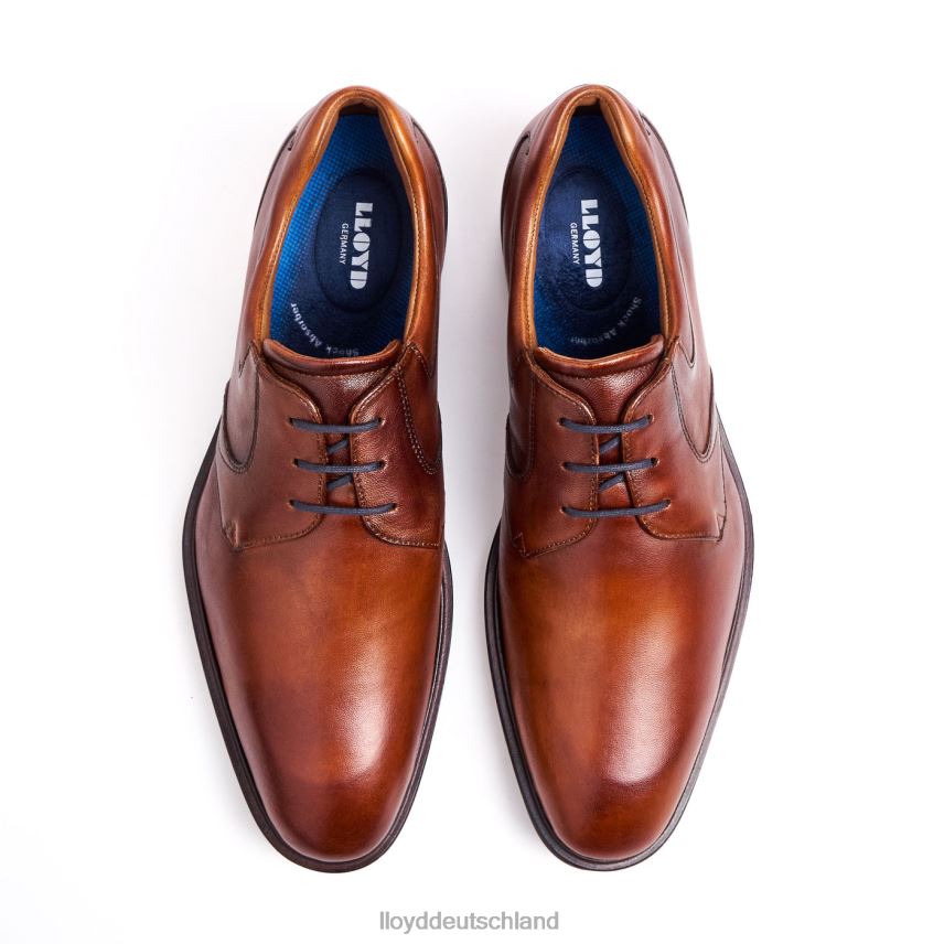 Schuhe LLOYD monty braun Männer PV6Z0134