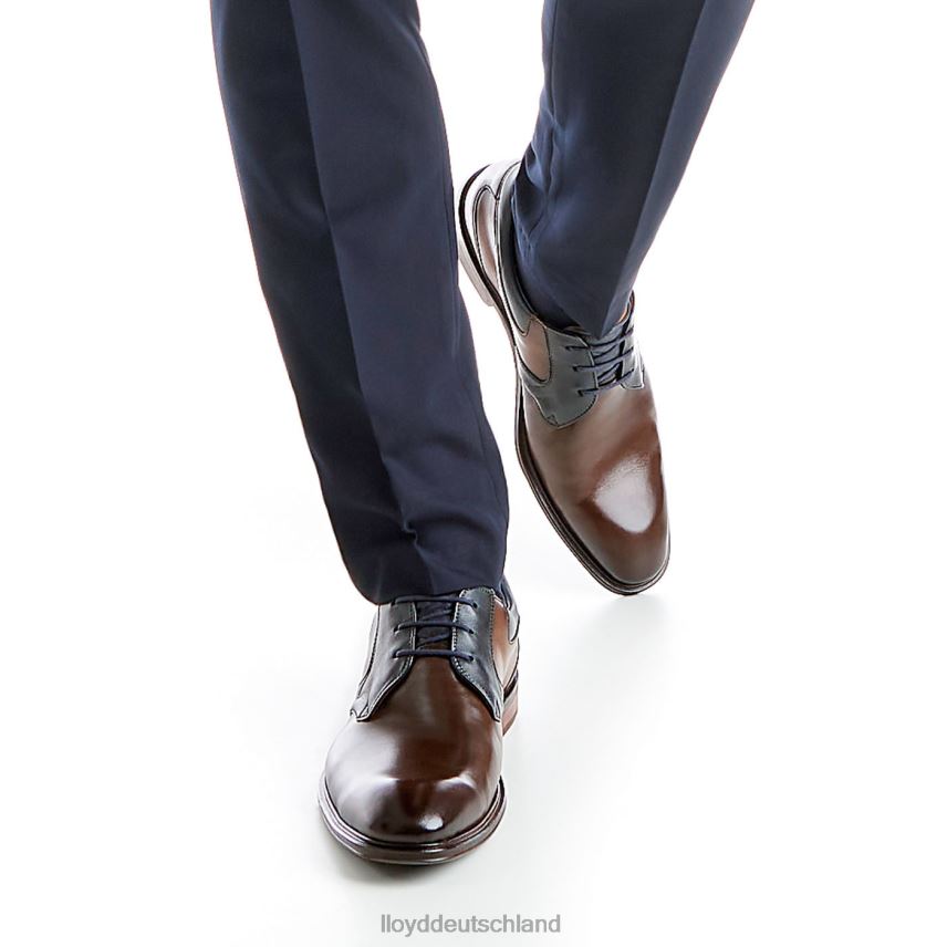 Schuhe LLOYD monty braun Männer PV6Z0227