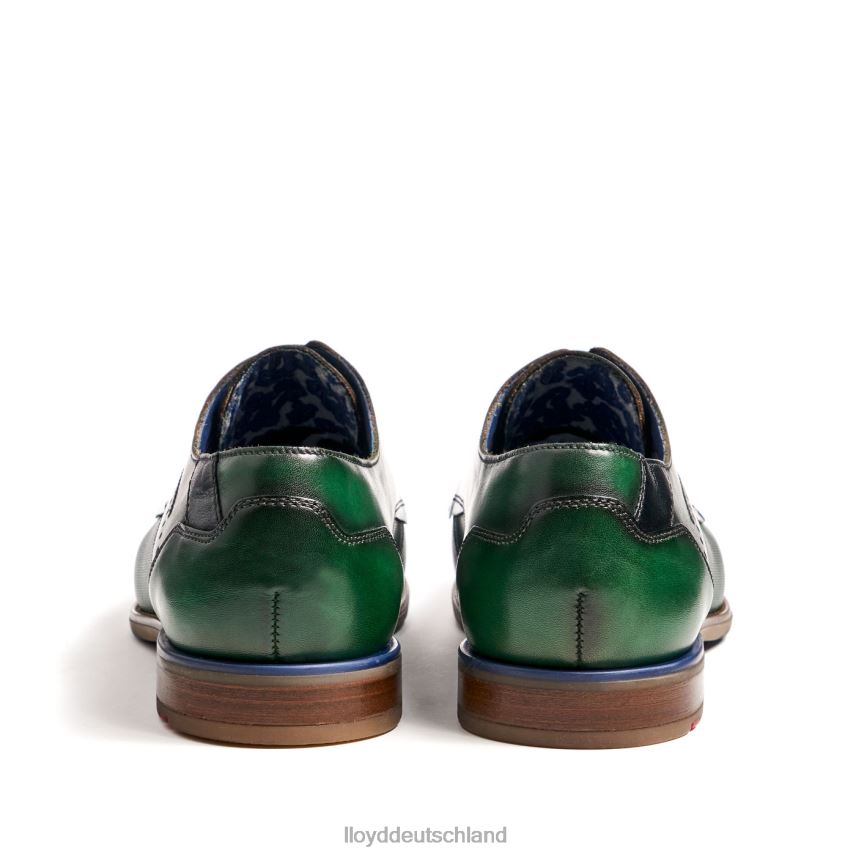 Schuhe LLOYD namir Grün Männer PV6Z0237