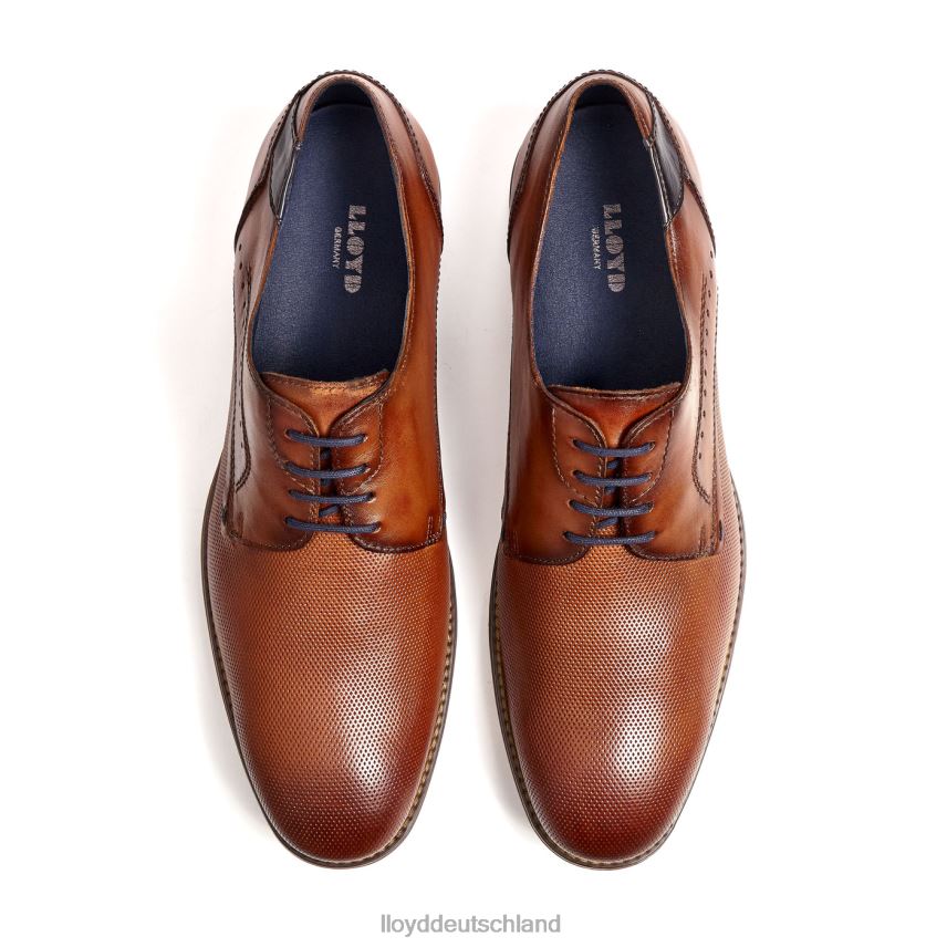 Schuhe LLOYD namir braun Männer PV6Z0217