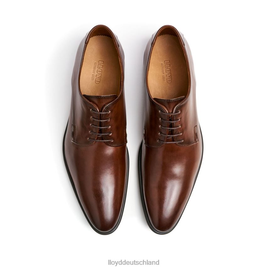 Schuhe LLOYD nik braun Männer PV6Z0127